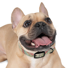 Load image into Gallery viewer, Dog Collar
