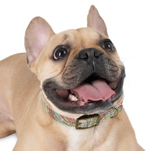 Load image into Gallery viewer, Dog Collar
