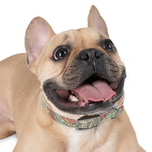 Load image into Gallery viewer, Dog Collar
