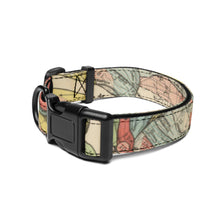 Load image into Gallery viewer, Ancient Courses Mississippi River Meander pet collar
