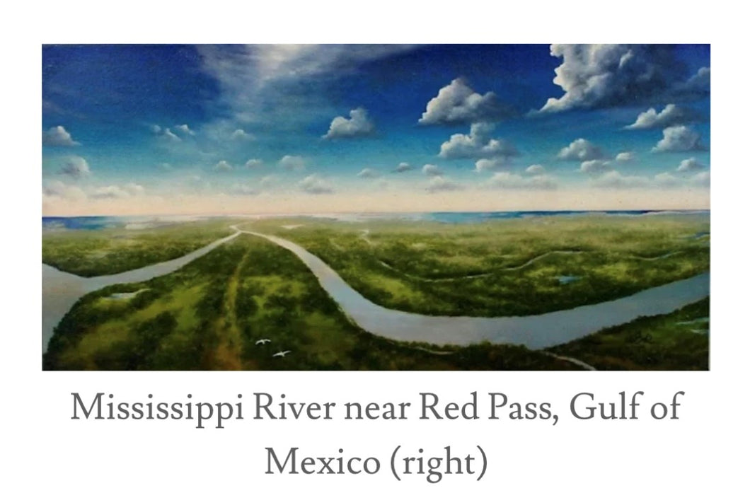 Mississippi River near Red Pass, Gulf of Mexico by Will M. Smith Jr.